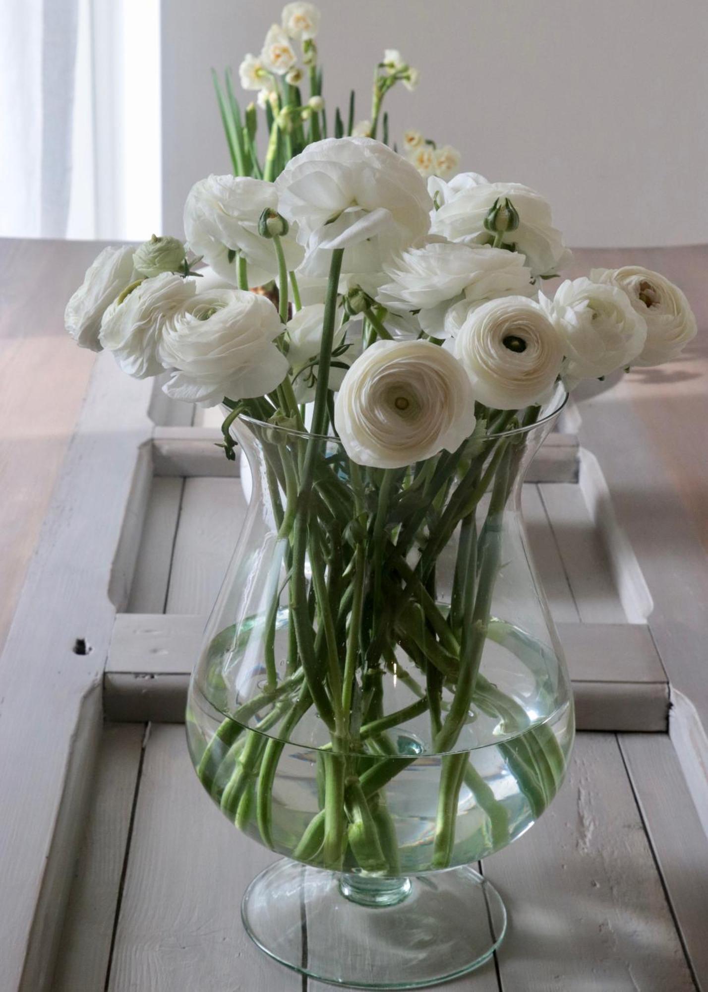 Casa Viola Bed And Breakfast Dimora Di Campagna Calice Ligure Εξωτερικό φωτογραφία