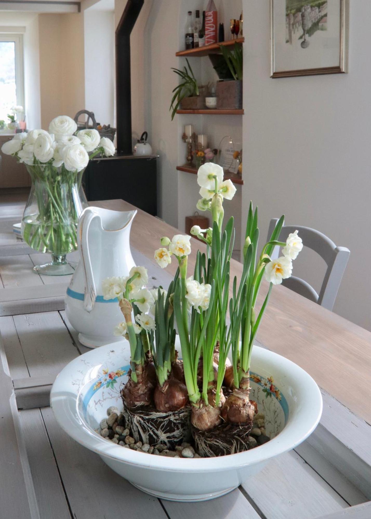 Casa Viola Bed And Breakfast Dimora Di Campagna Calice Ligure Εξωτερικό φωτογραφία